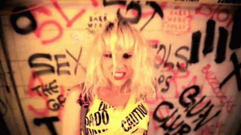 Punk the Fussies by The Barb Wire Dolls