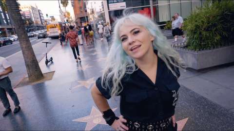 Animal by The Dollyrots