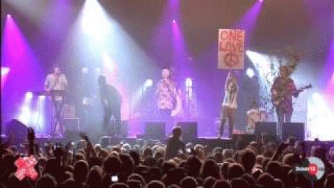 Lion in the morning sun (Live) by Will and the People