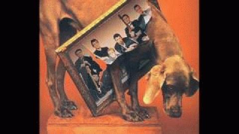 Dingle Regatta by Pogues