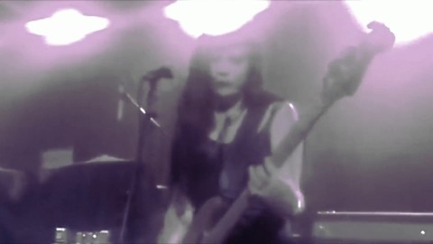 The cat's meow by The Darts