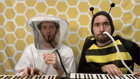 Flight of the Bumble Bee by Melodica Men