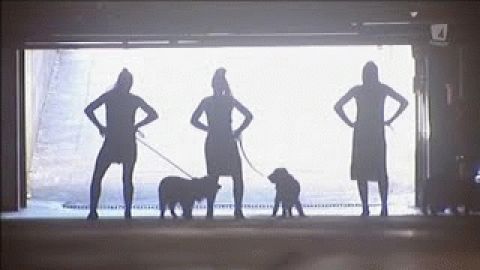 Doggie by Smack The Pony
