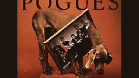 Sally MacLennane by Pogues