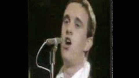 Cool for cats by Squeeze